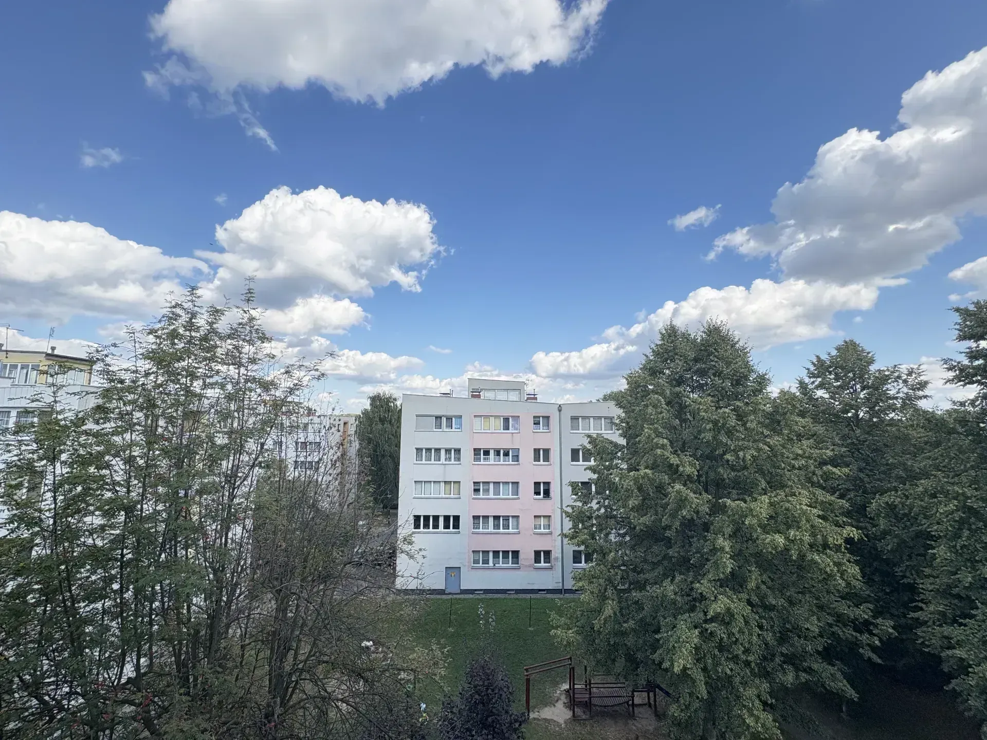 IMG_2816.jpeg